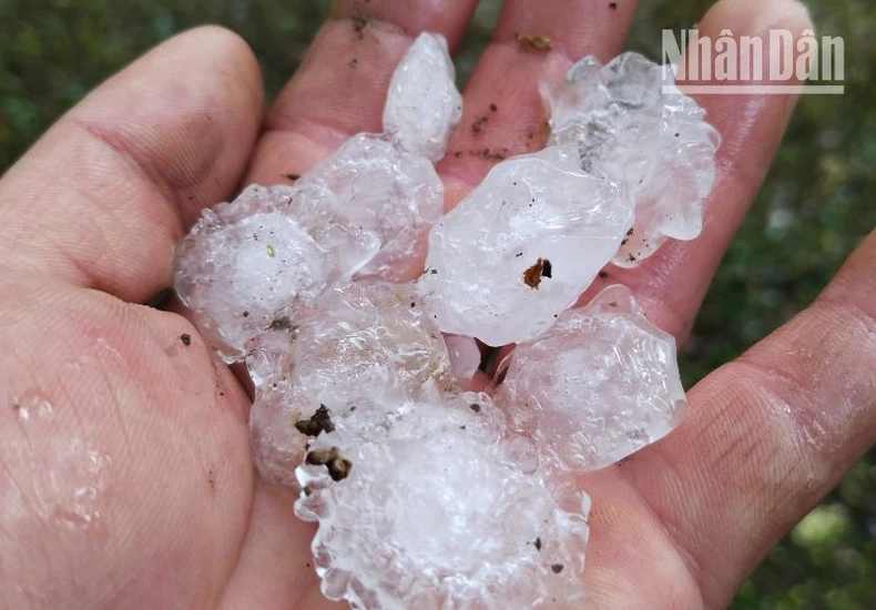 Mưa đá, gió lốc ở Sơn La gây nhiều thiệt hại về nhà cửa, hoa màu ảnh 5