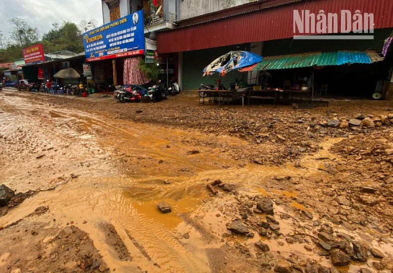 Mưa đá, gió lốc ở Sơn La gây nhiều thiệt hại về nhà cửa, hoa màu ảnh 2