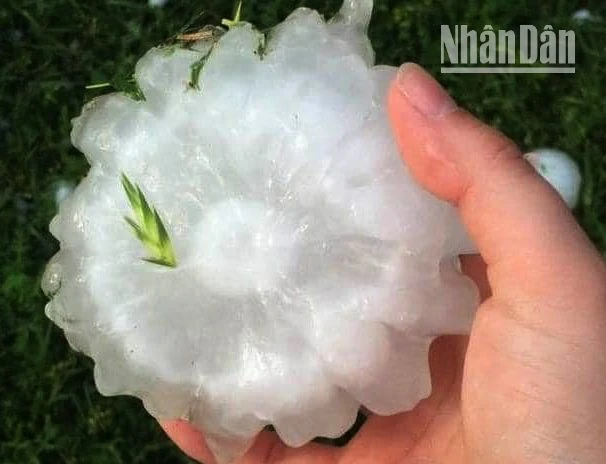 4.748 ngôi nhà ở Sơn La bị thiệt hại do mưa đá, gió lốc ảnh 3