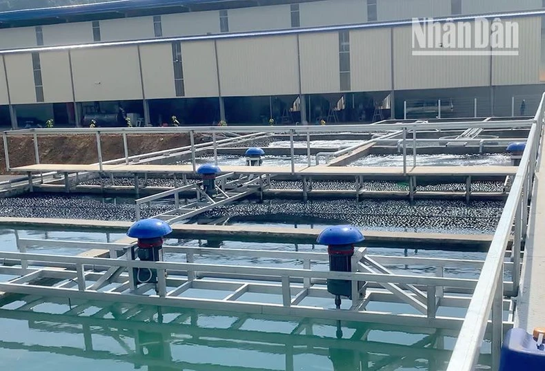 Cần làm rõ những sai phạm của 2 dự án lớn ở Sơn La ảnh 7