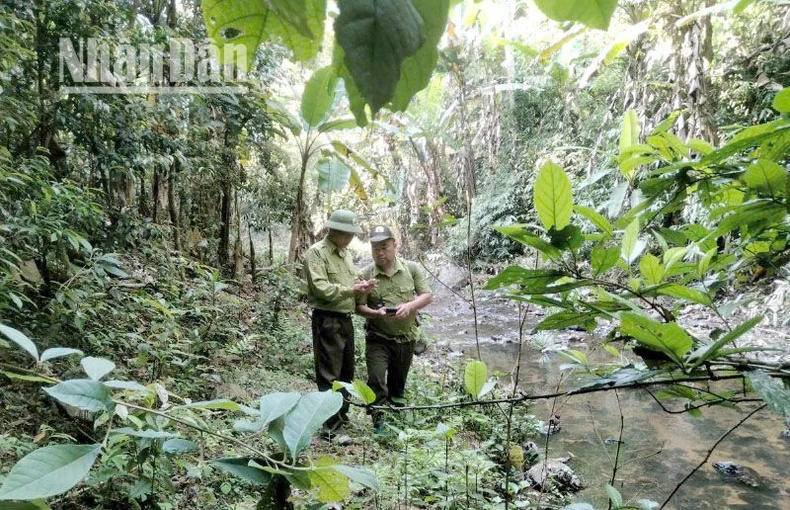 Phát hiện loài hoa dơi đen ở Sơn La ảnh 5