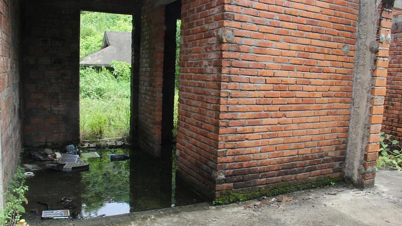 Cận cảnh loạt biệt thự bỏ hoang trên bán đảo Sơn Trà ảnh 2