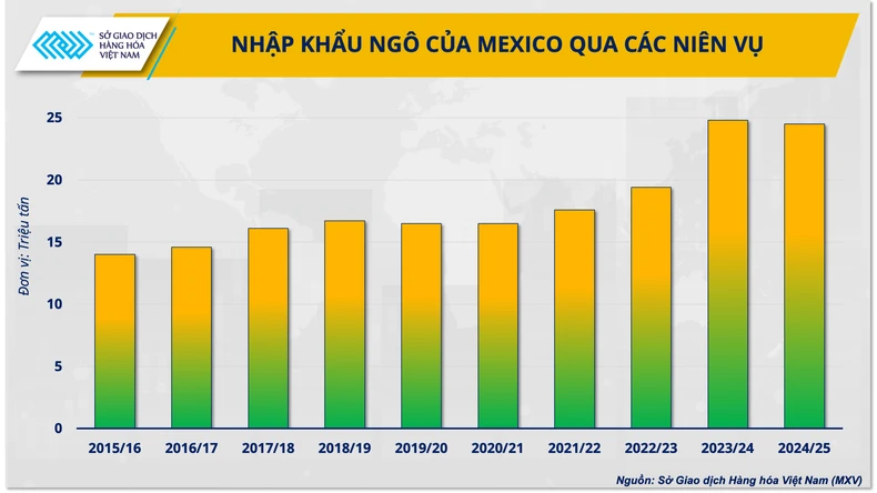 World corn market in 2025: Challenge with photo opportunities 4