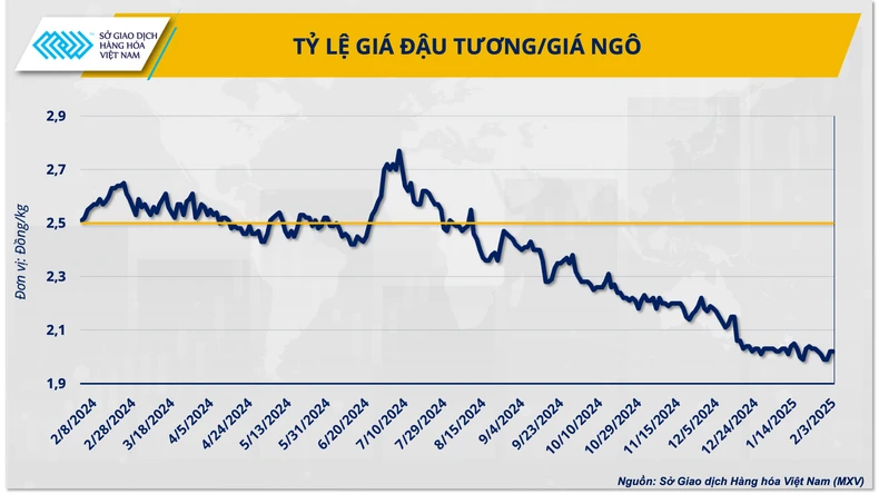 Thị trường ngô thế giới năm 2025: Thách thức đi cùng cơ hội ảnh 5