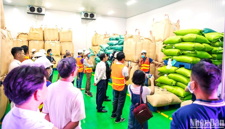 Simexco DakLak xuất chính ngạch lô hàng nguyên container cà-phê đặc sản đầu tiên sang Nhật Bản ảnh 2