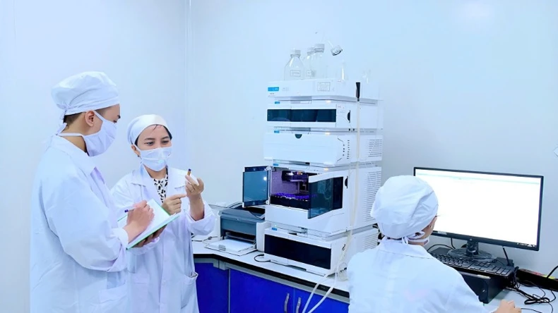 Tầm vóc mới từ những đột phá chiến lược ảnh 2