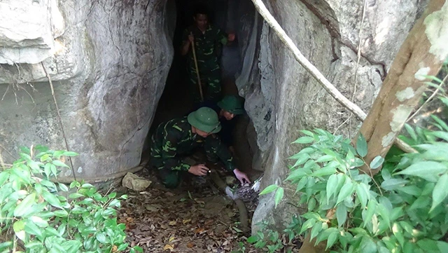 Hành trình “trả nợ non sông” ảnh 1