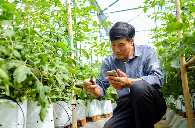 Nhà vườn 4.0 ảnh 1