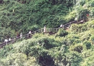 Đường lên động Tiên.