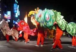 Tiết mục biểu diễn của các đoàn lân sư rồng.