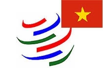 Những nội dung cơ bản các cam kết gia nhập WTO của Việt Nam