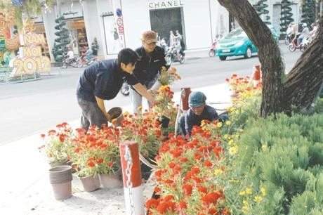 Công nhân trồng hoa trên vòng xoay đại lộ Lê Lợi - Nguyễn Huệ.