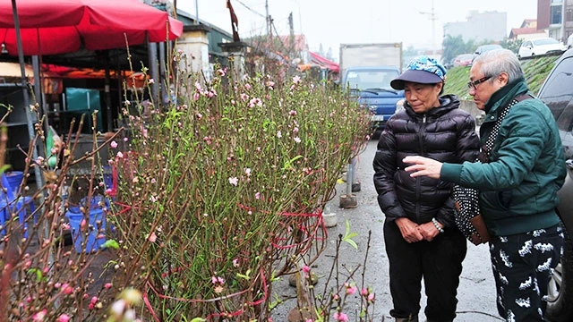 51 điểm chợ hoa Xuân tại Hà Nội