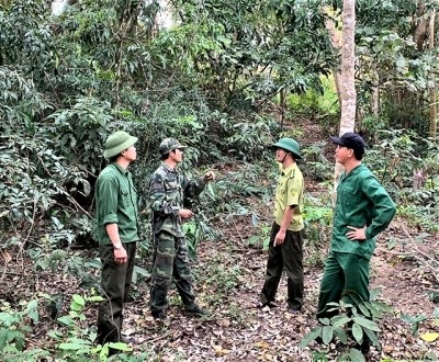 Lực lượng kiểm lâm Khu BTTN Ea Sô tăng cường công tác QLBVR tại khu vực giáp ranh giữa tỉnh Đắk Lắk và tỉnh Gia Lai trong những tháng cuối mùa khô 2020.