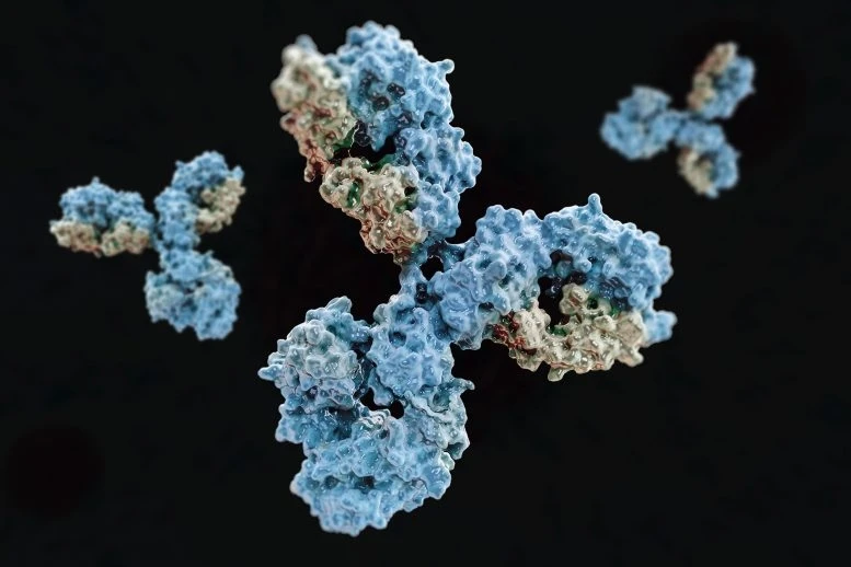 Các nhà nghiên cứu phát hiện ra kháng thể ngăn chặn sự lây nhiễm của virus SARS-CoV-2 trong các tế bào.