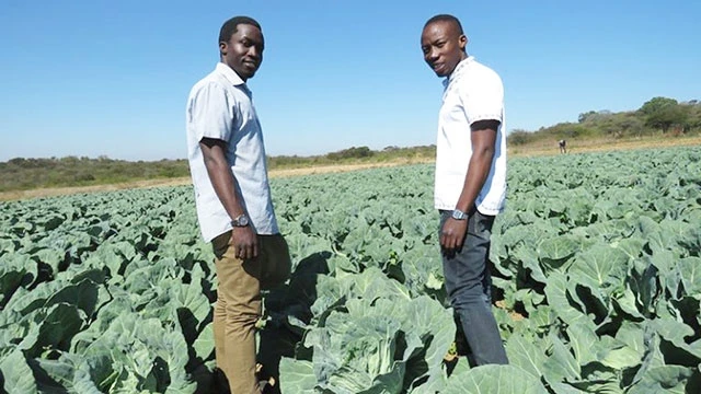 Thanh niên được khuyến khích đầu tư và làm việc trong các trang trại. Ảnh: AFRINEWS