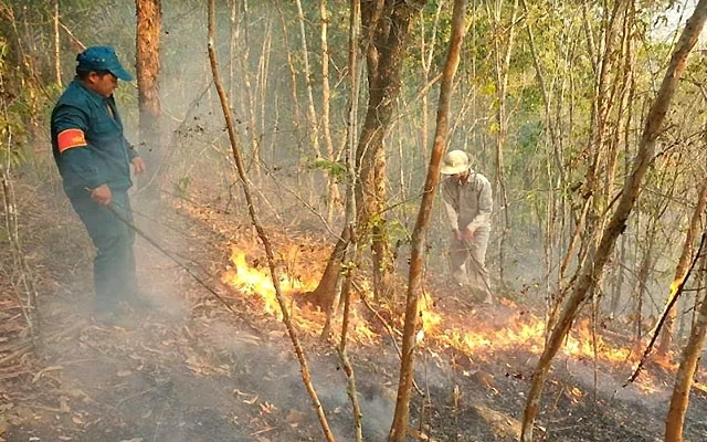 Hiện trường vụ cháy rừng tại tiểu khu 160 thuộc xã Mà Cooih (huyện Đông Giang).