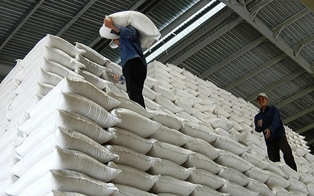 Vận chuyển gạo vào Kho dự trữ thuộc Chi cục Dự trữ nhà nước Tân Hiệp (Cục Dự trữ nhà nước khu vực Hà Bắc).