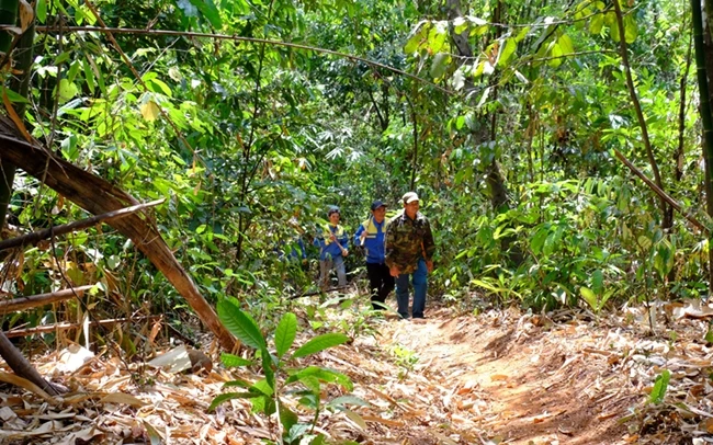 Tổ cộng đồng nhận khoán bảo vệ rừng phòng hộ Bù Đăng đi tuần tra.