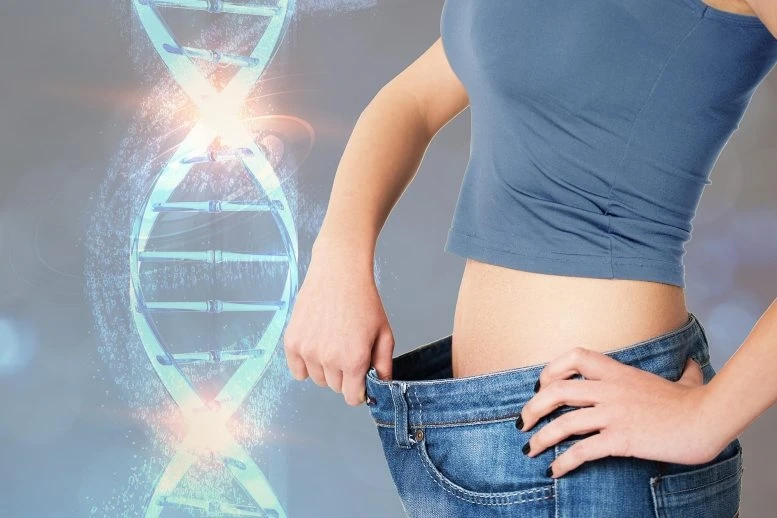 Xác định được gen liên quan đến vóc dáng gầy hay béo