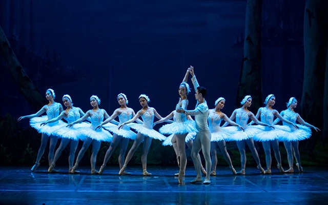 Sau khi tạo nên “cơn sốt vé” trong năm 2019, vở ballet Hồ Thiên Nga (Nhà hát Nhạc vũ kịch Việt Nam) dự định lưu diễn toàn quốc, nhưng đã phải hoãn vô thời hạn do dịch Covid-19.