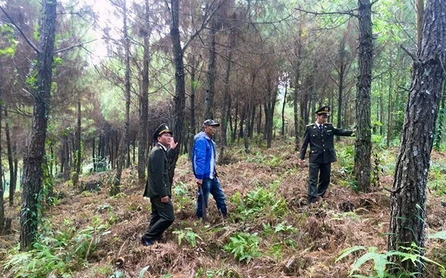  Kiểm tra công tác bảo vệ rừng đối với các chủ rừng ở xã Quảng Thành, huyện Hải Hà, tỉnh Quảng Ninh.