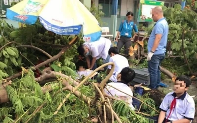 Bộ trưởng Phùng Xuân Nhạ gửi lời thăm hỏi tới học sinh trong vụ tai nạn do cây đổ