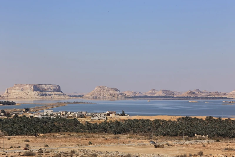 Ốc đảo được hình thành nhờ nguồn nước dồi dào của hồ Siwa, bao quanh cả ốc đảo, tạo nên hệ sinh thái đa dạng ngay giữa lòng sa mạc Sahara.