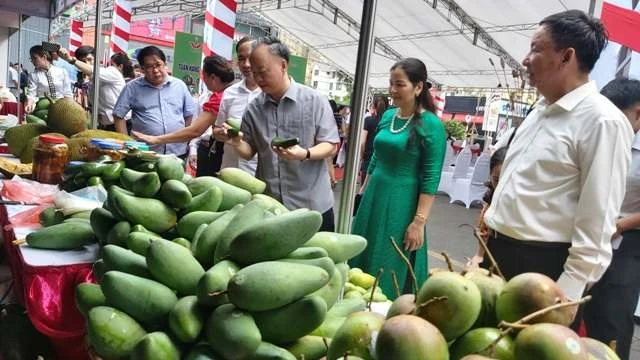 Các đại biểu tham quan gian hàng tại Tuần hàng trái cây, nông sản các tỉnh, thành phố tại Hà Nội năm 2020.