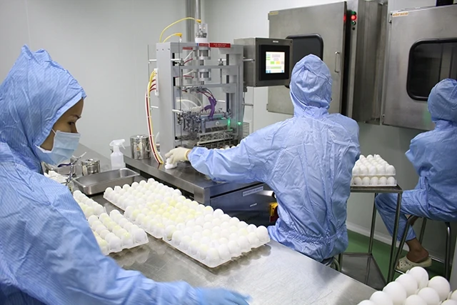 Sản xuất vắc-xin cúm A/H5N1 cho gia cầm tại Công ty Vật tư thuốc thú y Trung ương.
