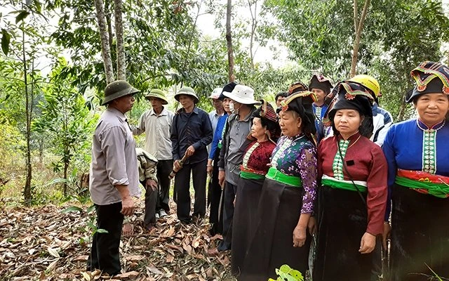 Các thành viên Tổ trồng rừng Hạ Thanh nhận nhiệm vụ. 