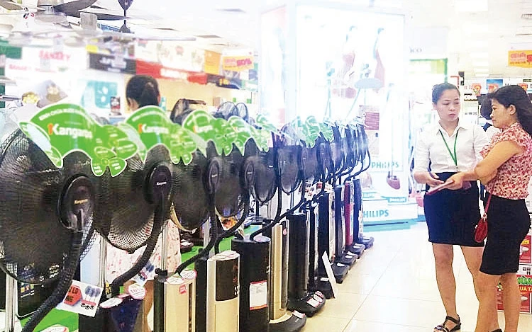Khách hàng chọn mua quạt phun sương tại siêu thị điện máy trên phố Xuân Thủy, quận Cầu Giấy.