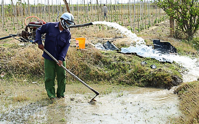 Nông dân xã Phước Nam, huyện Thuận Nam (Ninh Thuận) sử dụng nước giếng khoan phục vụ trồng trọt. Ảnh: VĂN NỶ