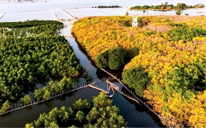 Khu bảo tồn thiên nhiên đất ngập nước Tam Giang – Cầu Hai chính thức được thành lập.