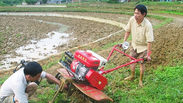 Nông dân sử dụng máy nông nghiệp mà không trang bị bảo hộ lao động.