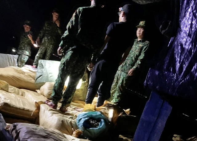 Phương tiện vận chuyển trái phép gần ba tấn ruột ốc bươu vàng và cá chỉ vàng bị BĐBP Quảng Ninh bắt giữ.