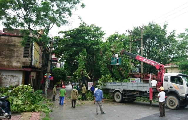 Công nhân Công ty Công viên cây xanh Hà Nội cắt tỉa cây xanh, bảo đảm an toàn mùa mưa bão.