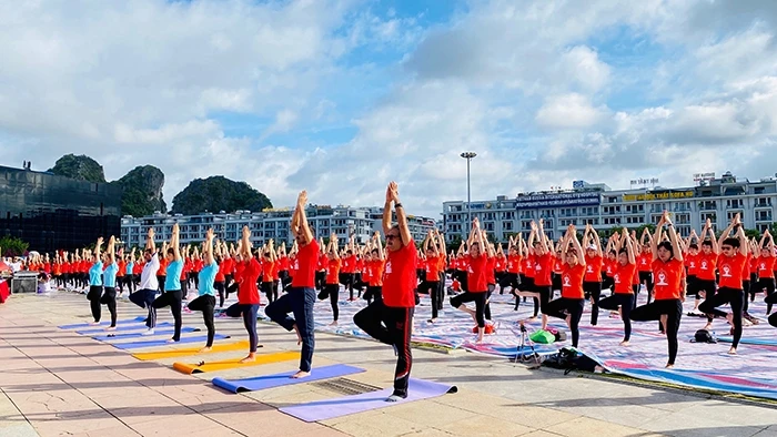Bài biểu diễn Yoga đặc sắc trong Ngày Yoga lần thứ 6 được tổ chức tại Quảng Ninh.