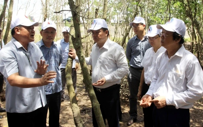 Các đại biểu tham quan vùng lõi của Khu bảo tồn thiên nhiên đất ngập nước Thái Thụy (Thái Bình).