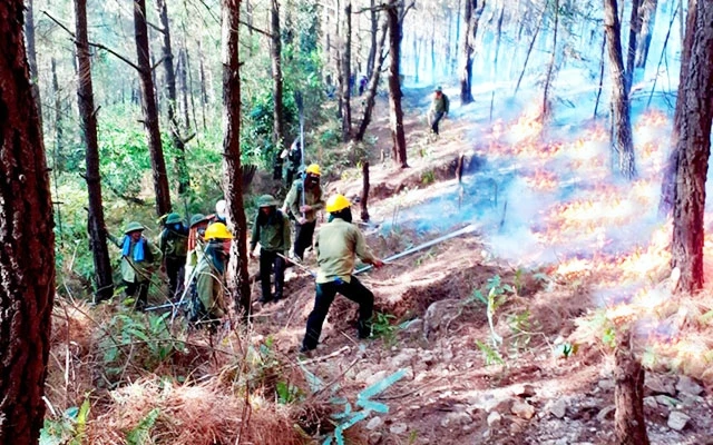 Lực lượng chức năng dập lửa chữa cháy rừng tại xã Diễn Lợi, huyện Diễn Châu (Nghệ An). Ảnh: VĂN TRƯỜNG
