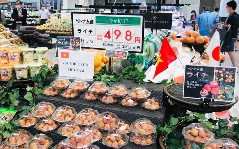 Vải xuất sang Nhật Bản được đóng hộp nhỏ 200g và bày bán tại siêu thị với giá khuyến mãi là 489 JPY (giá gốc là 537 JPY), tương đương hơn 100 nghìn đồng/200g.