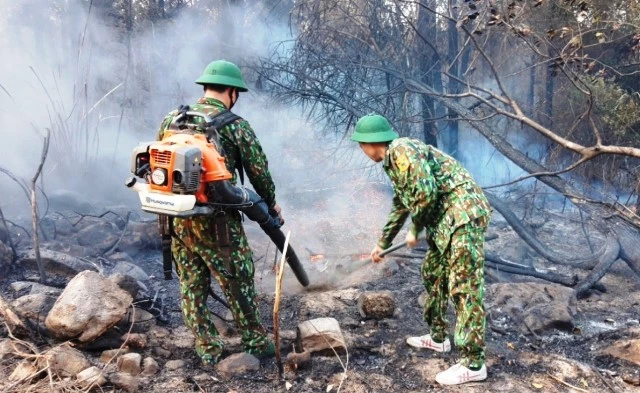 Bộ đội biên phòng tham gia chữa cháy rừng ở Nghệ An.