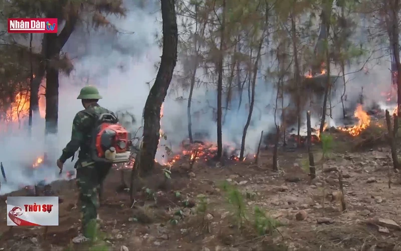 Nghệ An: Khẩn trương chữa cháy rừng tại xã Diễn Phú
