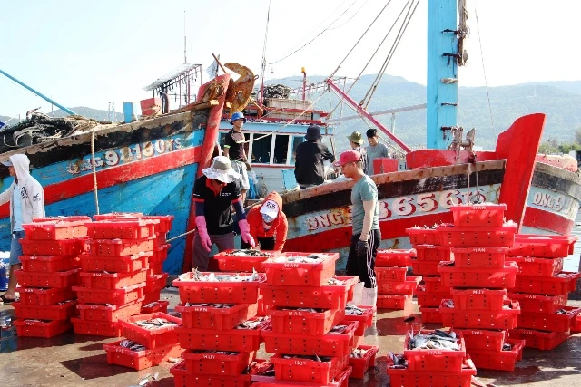 Táu cá bốc dỡ hải sản tại Cảng cá Thọ Quang.