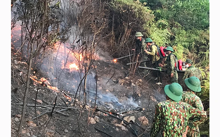 Các lực lượng khống chế ngọn lửa ở khu vực núi Mồng Gà (Hương Sơn, Hà Tĩnh).