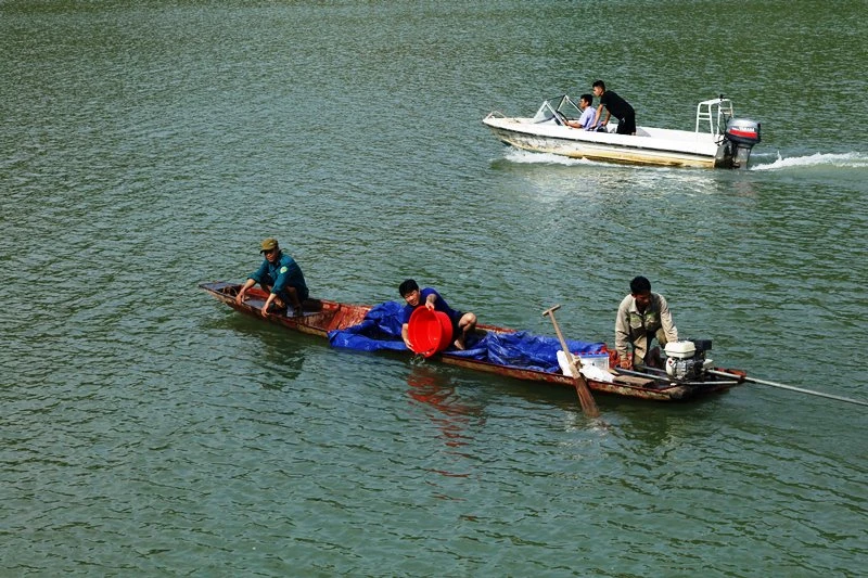 Thả bổ sung cá giống trên hồ thủy điện Sơn La