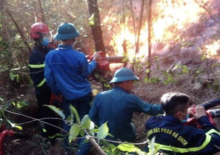 Các lực lượng phối hợp nỗ lực chữa cháy rừng