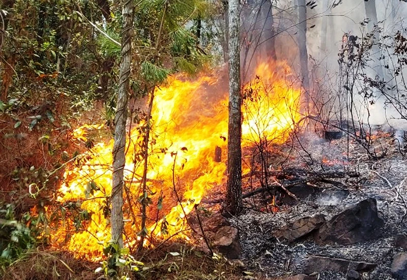 Đám cháy tại khu vực núi Con Voi thuộc  xóm 8, xã Diễn Lộc, huyện Diễn Châu, (Nghệ An).