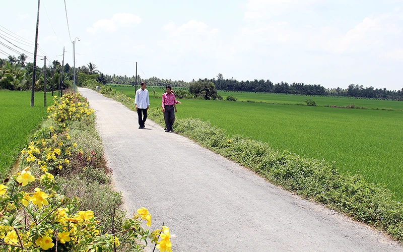 Những tuyến đường giao thông nông thôn trên cánh đồng lúa chất lượng cao ở HTX Hồi Tường (xã Xuân Hiệp, huyện Trà Ôn)