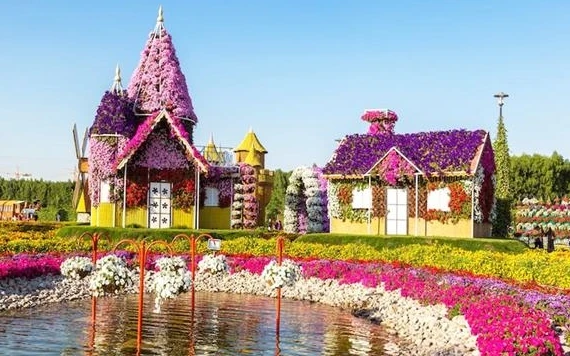 Khu vườn kỳ diệu Dubai là khu vườn hoa tự nhiên lớn nhất thế giới (Ảnh: INSIDER)